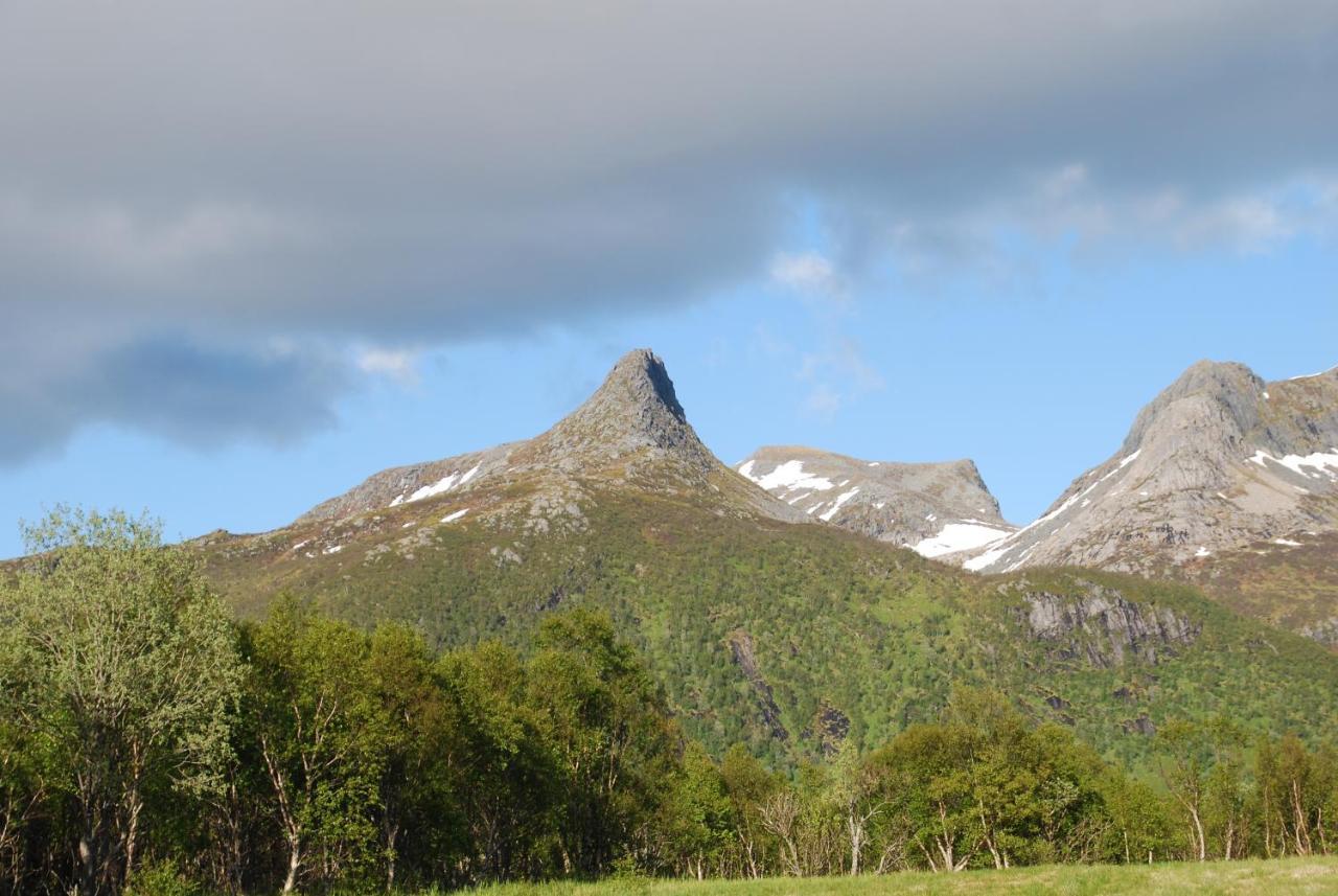 Vila Haugteig Lyngværet Exteriér fotografie
